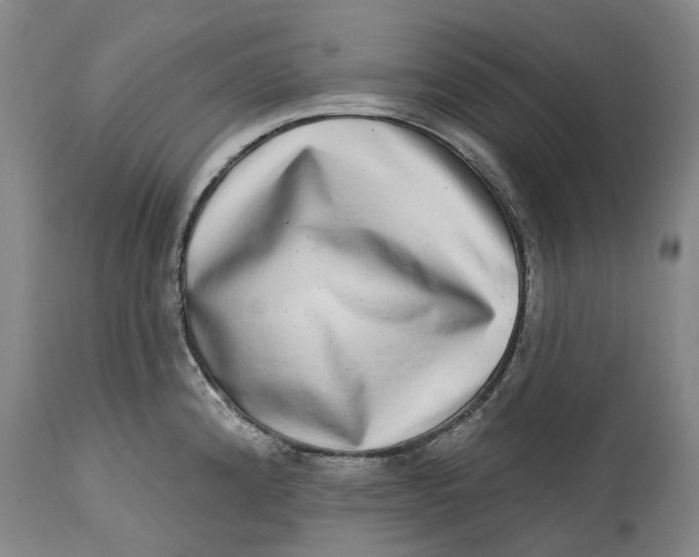 X0000115011192200911161553