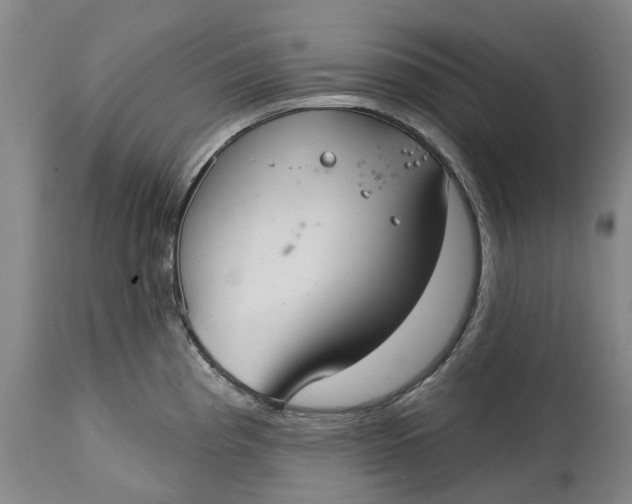X0000115011193200911161553