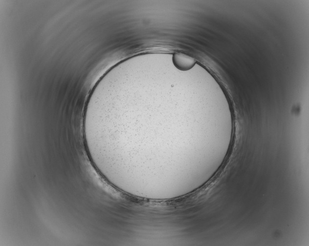 X0000115011194200911161553