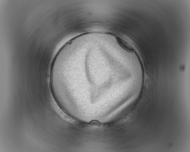X0000115011195200911161553