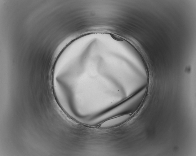 X0000115011196200911161553