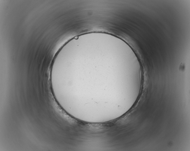 X0000115011198200911161553