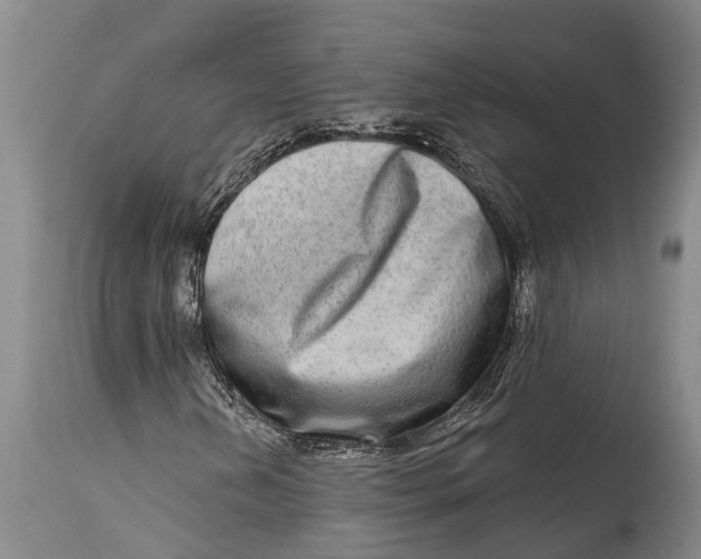 X0000115011202200911161552