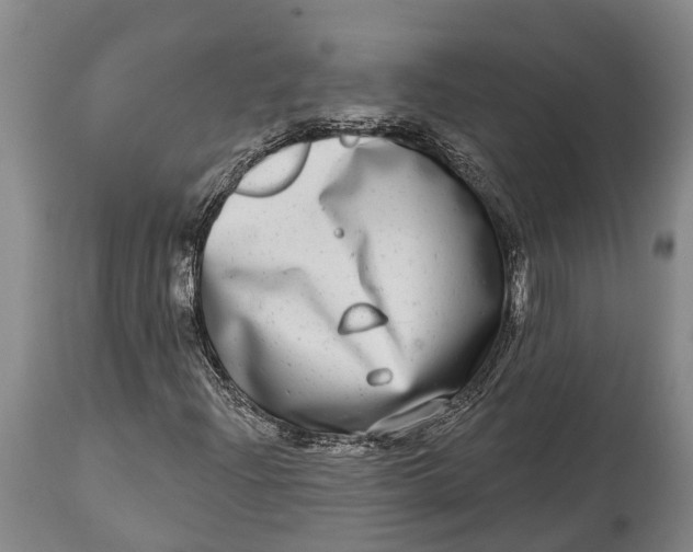 X0000115011204200911161552