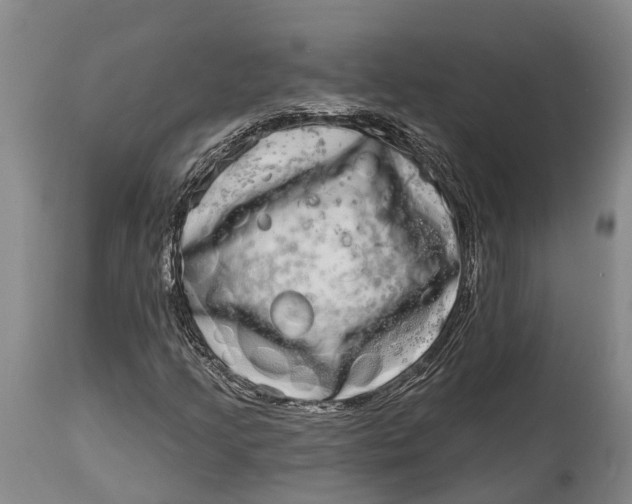 X0000115011205200911161552