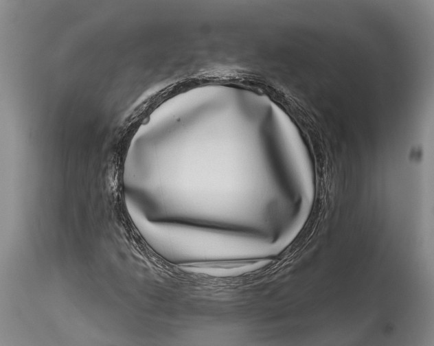 X0000115011206200911161552