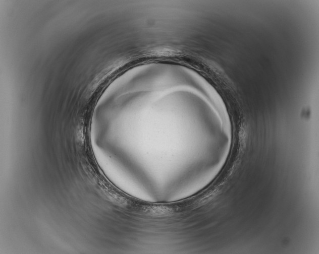X0000115011209200911161552
