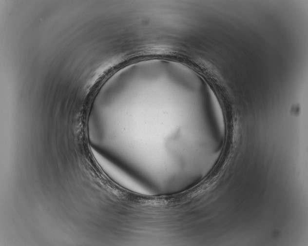 X0000115011210200911161552