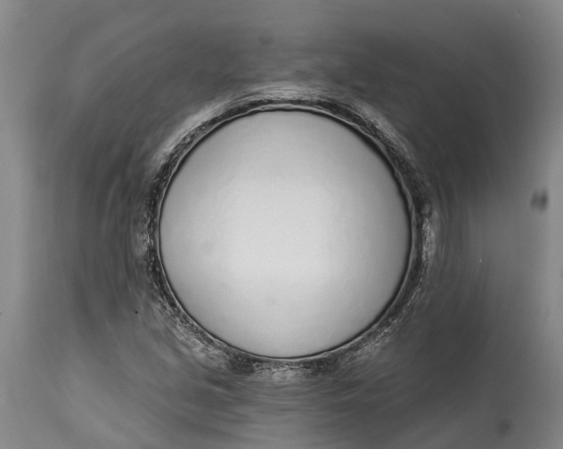 X0000115011213200911161552