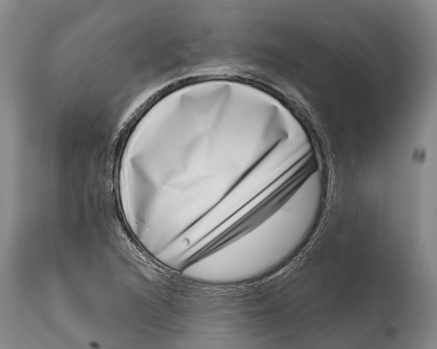 X0000115011216200911161552