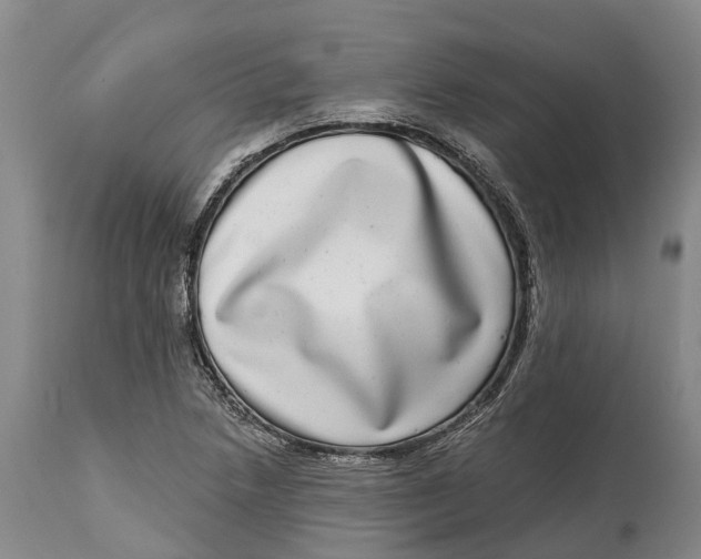 X0000115011218200911161552