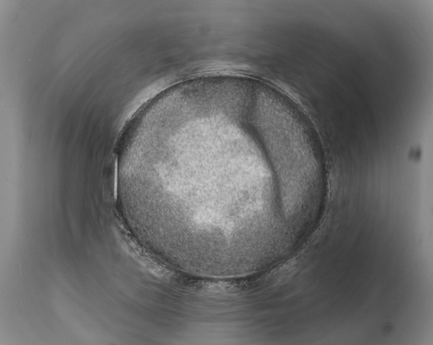 X0000115011219200911161552