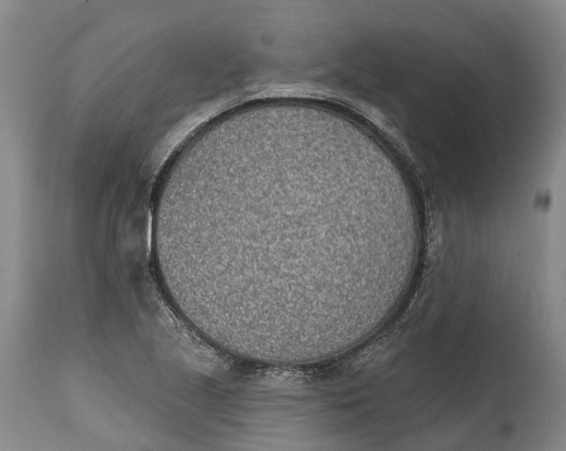 X0000115011221200911161552