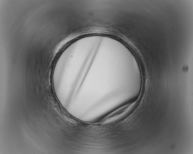 X0000115011222200911161552