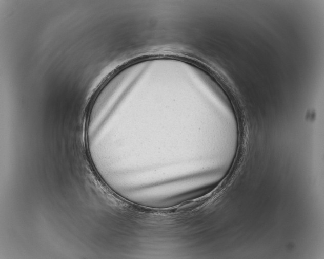 X0000115011224200911161552