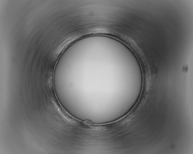 X0000115011225200911161552