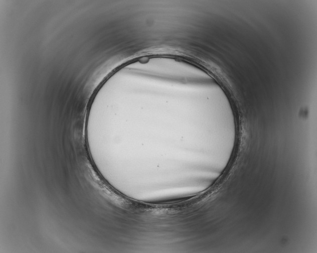 X0000115011228200911161552
