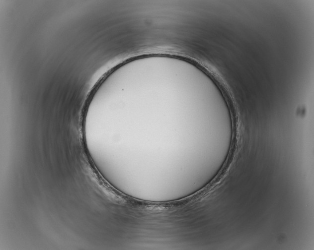 X0000115011230200911161552