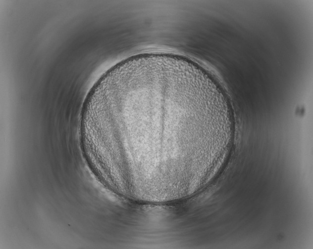 X0000115011231200911161553