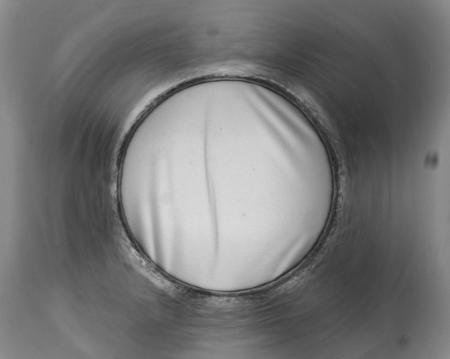 X0000115011232200911161553