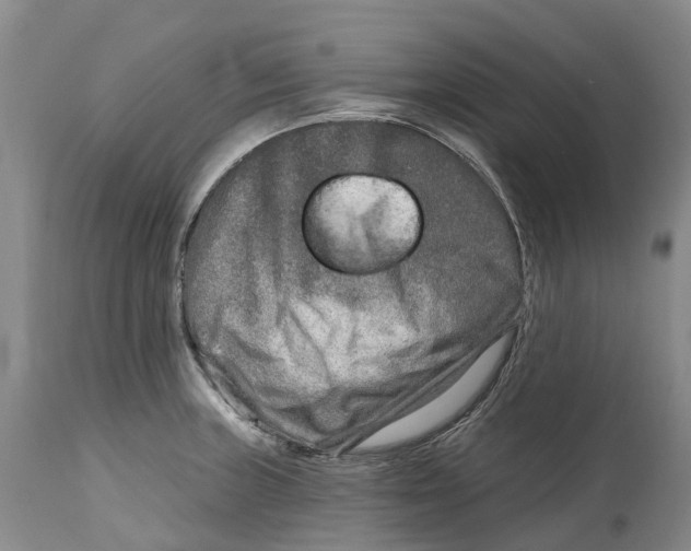X0000115011235200911161553