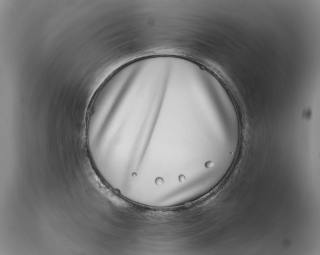 X0000115011236200911161553