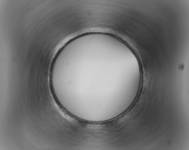 X0000115011237200911161553