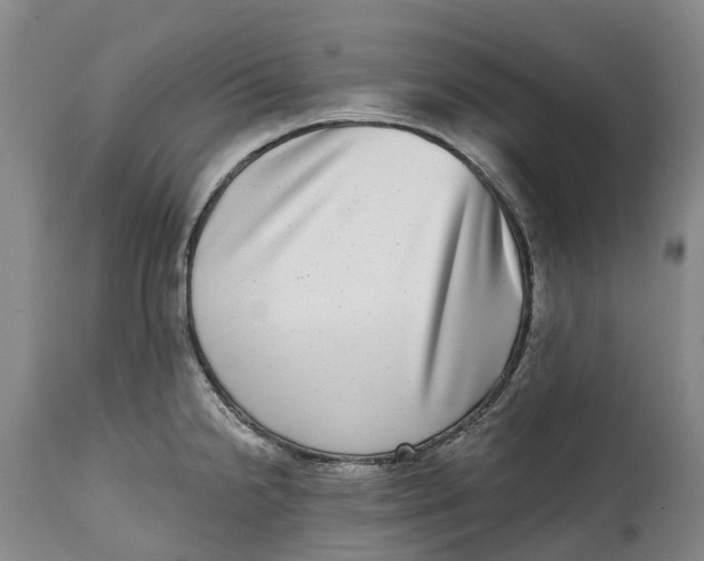 X0000115011238200911161553
