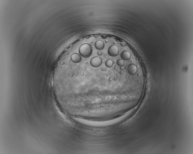X0000115011241200911161553