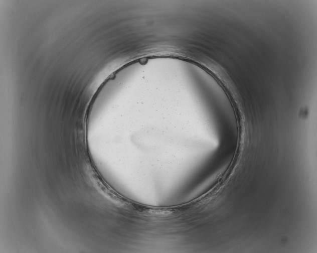 X0000115011242200911161553