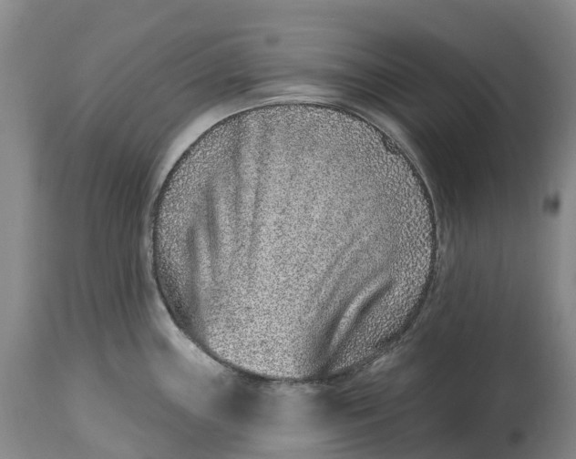 X0000115011243200911161553