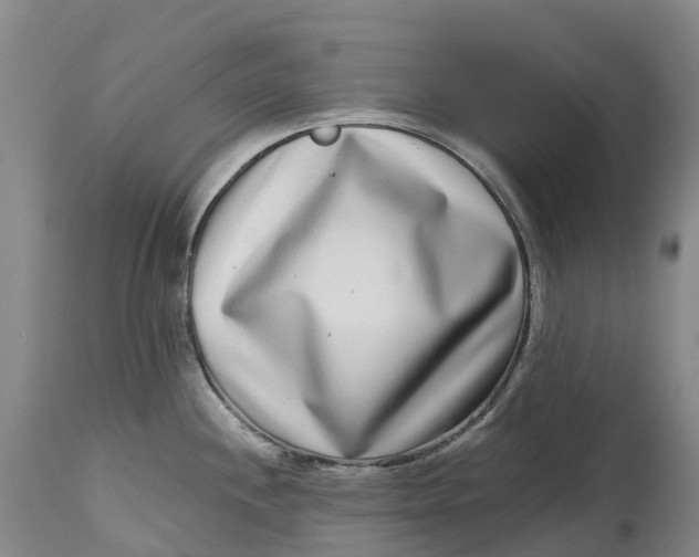X0000115011244200911161553