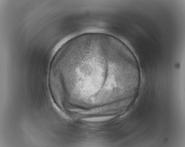 X0000115011245200911161553