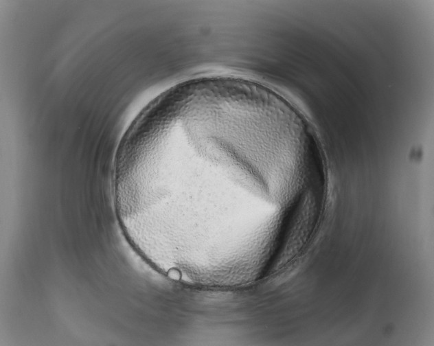 X0000115011247200911161553