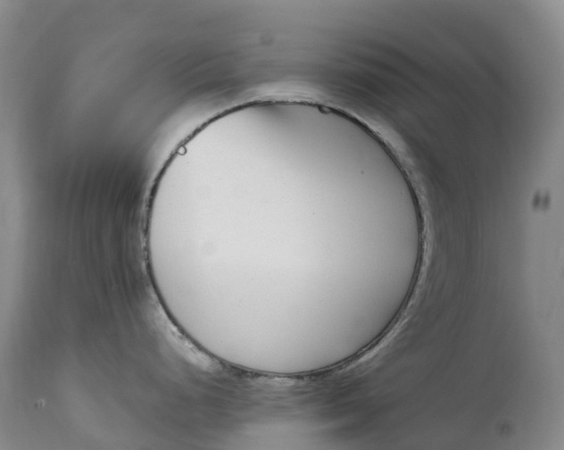 X0000115011248200911161553