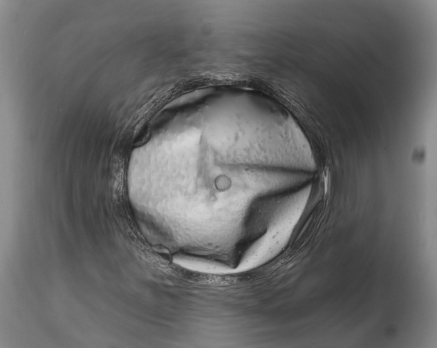 X0000115011251200911161552