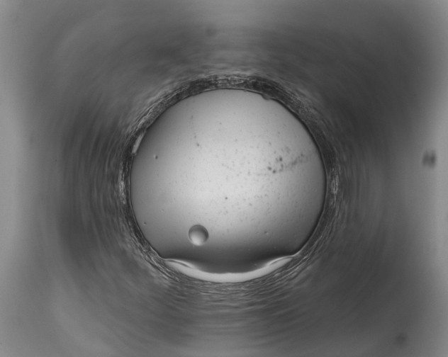 X0000115011252200911161552