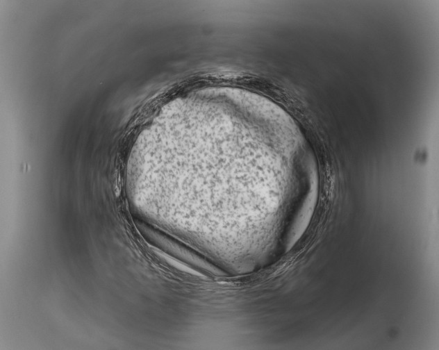 X0000115011253200911161552