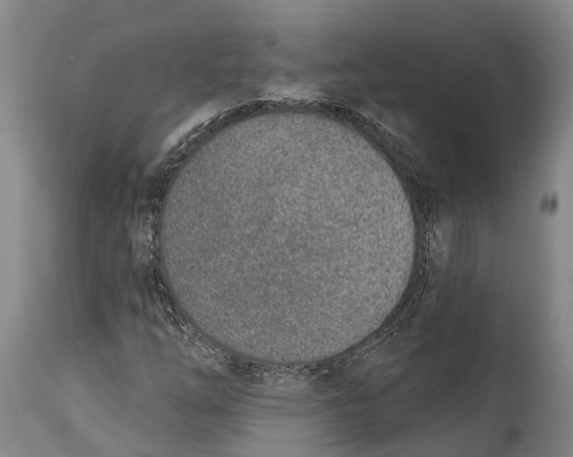 X0000115011254200911161552