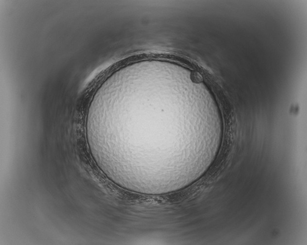 X0000115011255200911161552
