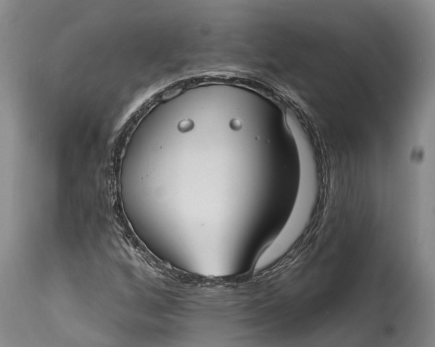 X0000115011256200911161552