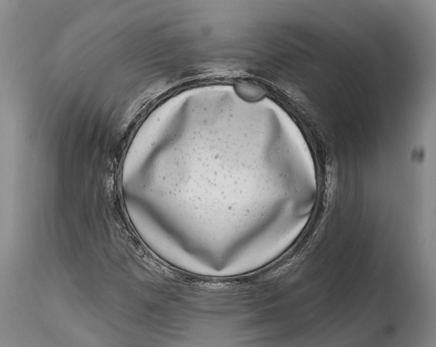 X0000115011257200911161552