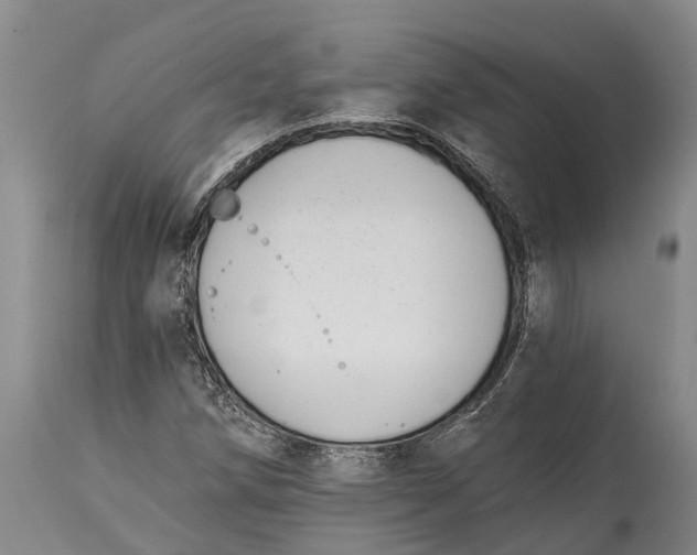 X0000115011258200911161552