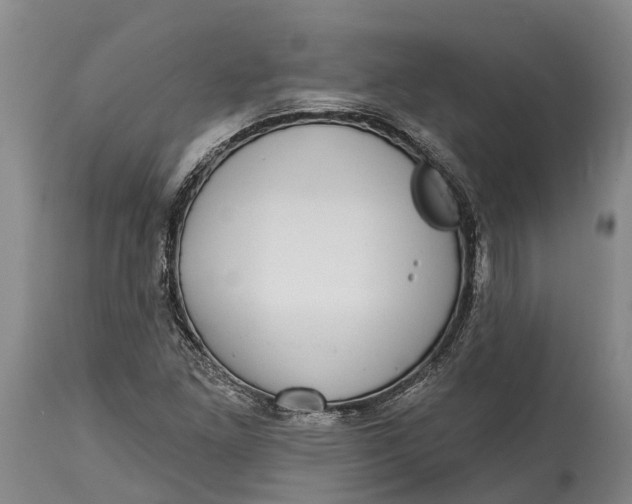 X0000115011261200911161552