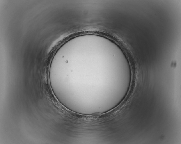 X0000115011262200911161552