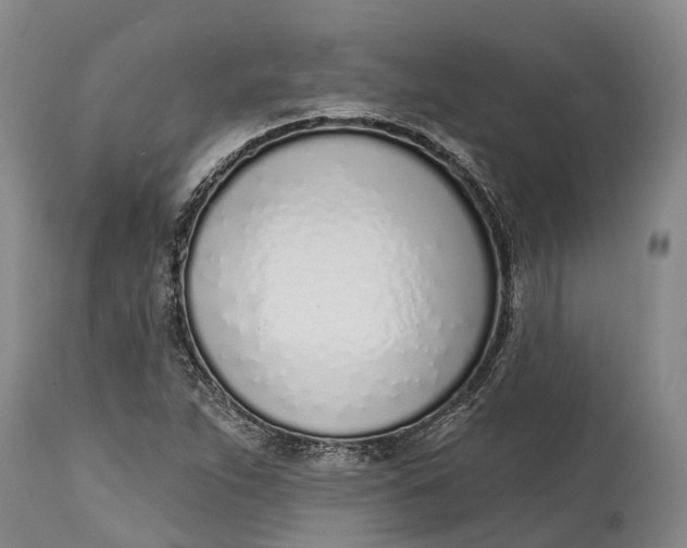 X0000115011263200911161552