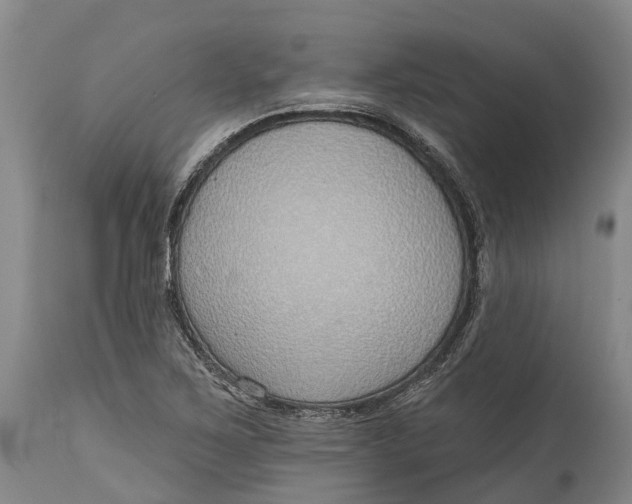 X0000115011267200911161552