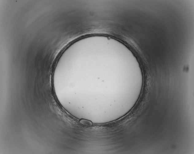 X0000115011268200911161552