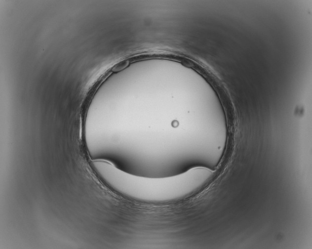 X0000115011269200911161552