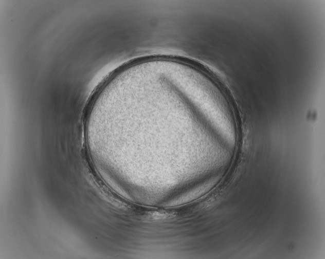 X0000115011271200911161552